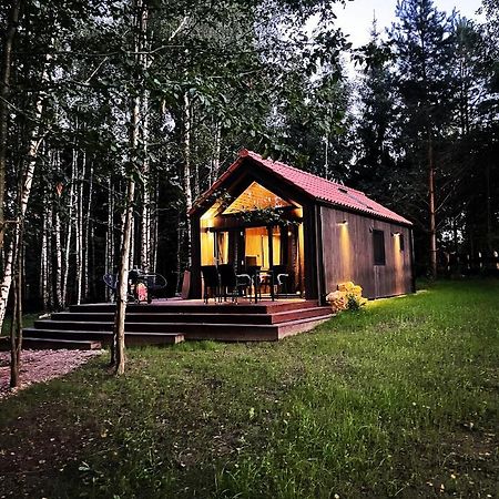 Szopa_Narie Villa Gulbity Exteriör bild