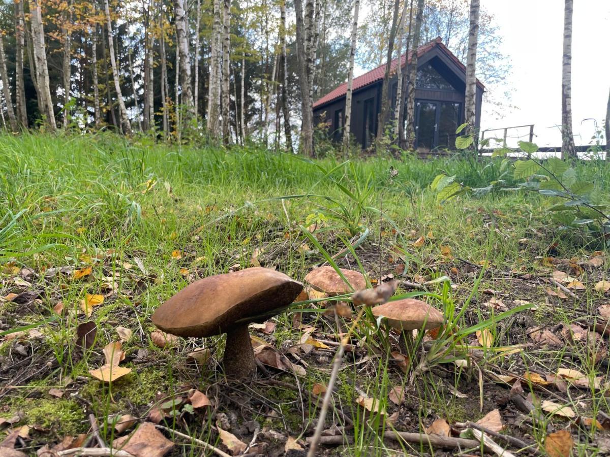 Szopa_Narie Villa Gulbity Exteriör bild